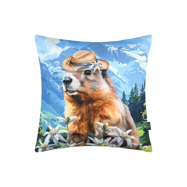 COUSSIN CHARLOTTE MULTICOLORE 50X50CM
