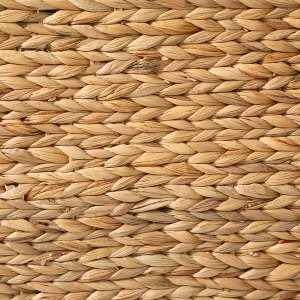Panier à linge étroit avec couvercle en jacinthe d'eau L21 cm - MAYA