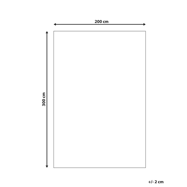 Tapis à poils longs CIDE Gris clair 200 x 300 cm