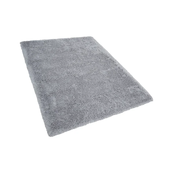 Tapis à poils longs CIDE Gris clair 200 x 300 cm