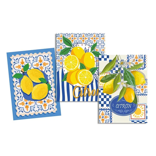 TORCHON GRASSE MULTICOLORE 50X70CM